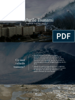 Valurile Tsunami
