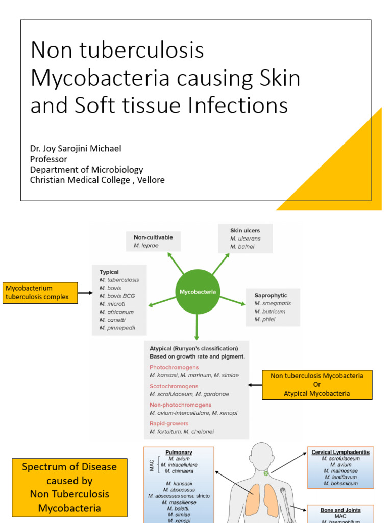 NTM Causing Skin and Soft Tissue Infections | Download Free PDF ...