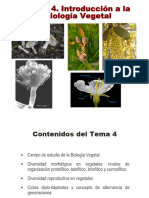 Tema 4 Introducción A La Biología Vegetal