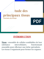 L'étude Des Principaux Tissus Anatomie Physiologie - Anatomie Physiologie
