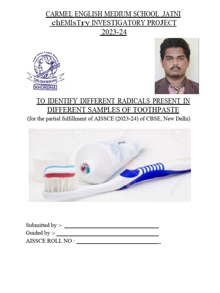 CARMEL ENGLISH MEDIUM SCHOOL, JATNI Project Board Front Page | PDF