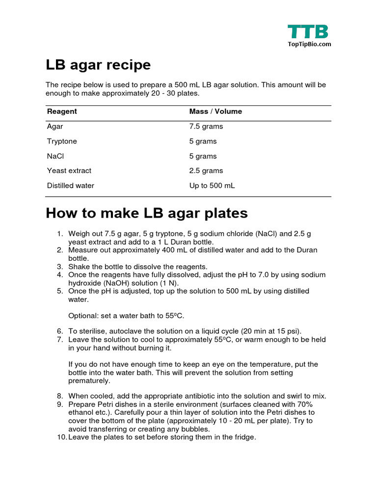 LB Agar Recipe PDF