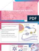 Chromosomes and Heredity Unit 2 p1