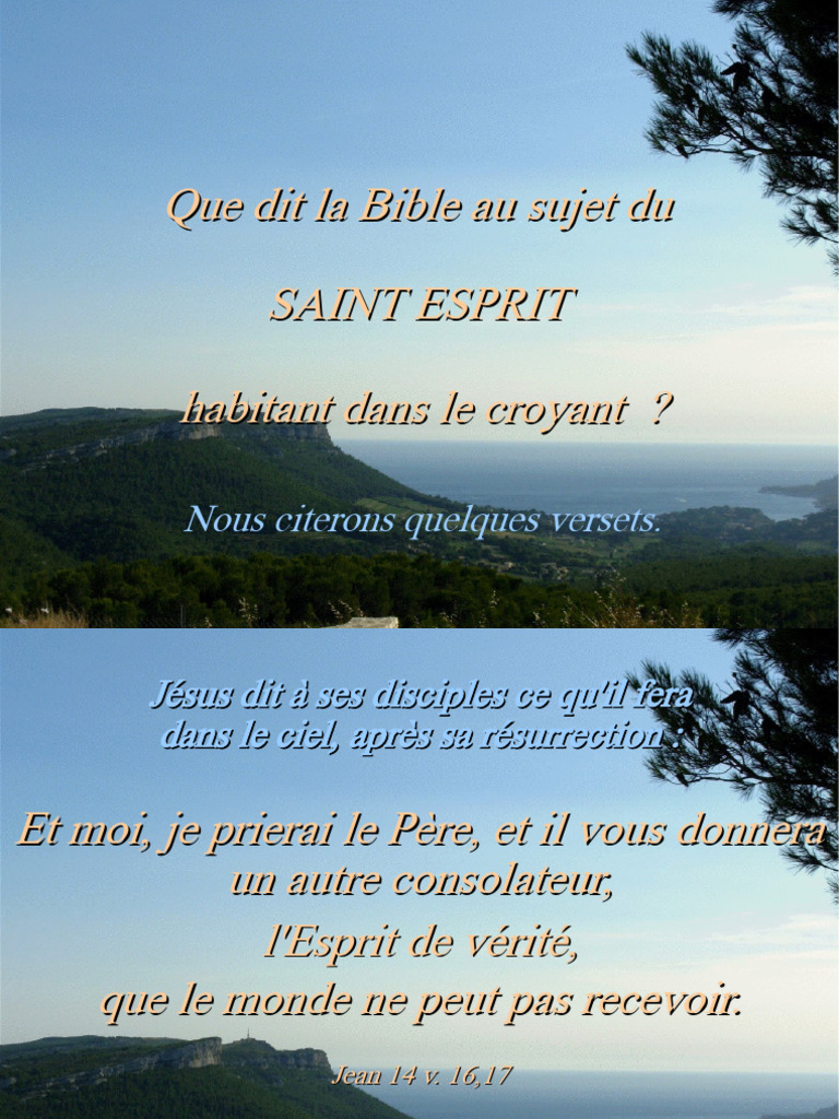 Rôle du Saint-Esprit dans le croyant | PDF | Jésus | Saint-Esprit