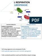 Respiration-3