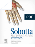 Sobotta General Anatomy and Musculoskeletal System