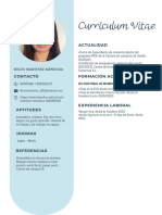 Curriculum Vitae