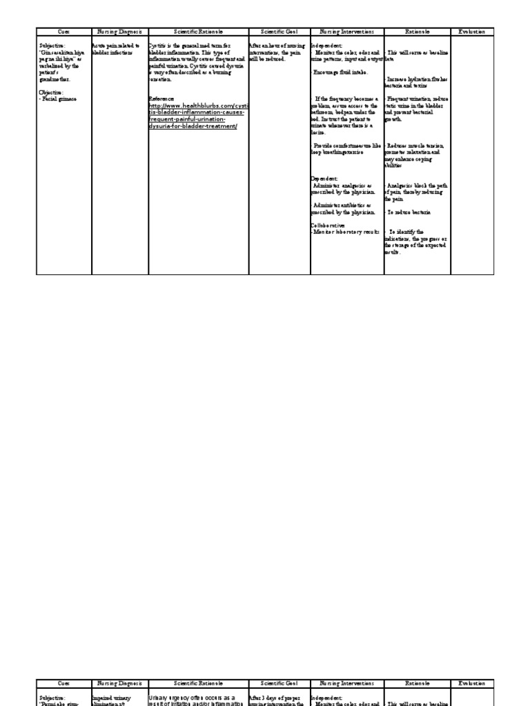 Nursing Care for Bladder Issues | PDF | Urinary Tract Infection ...