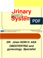 Lecture 4 Urinary System