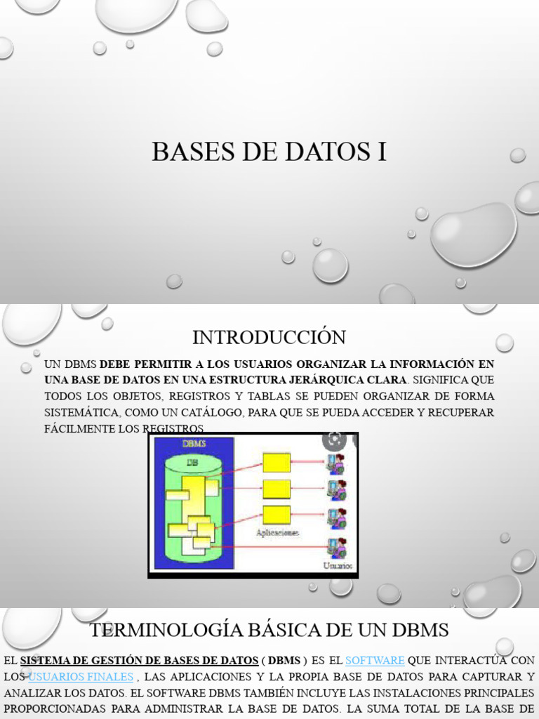 Bases de Datos I Cap 1 | PDF