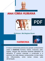 Aula 1 Anatomia