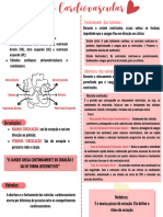 Fisio Cardiovascular