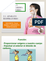 Sistema Respiratorio1