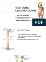 LKM Sisteme Giriş - Üst Ekstremite Kemikleri-21