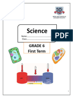Grade 10 Cell Structure Study Notes | PDF