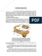 4to Aparato y Sistema Esqueletico