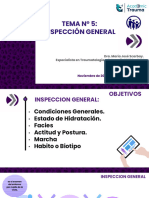 Tema 5 Inspección General