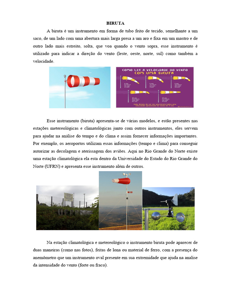 Função e Tipos de Biruta Meteorológica | PDF