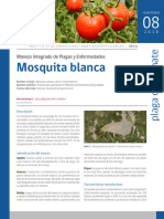 Ficha Técnica Mosquita Blanca