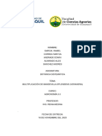 Informe 16 Nov