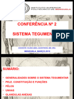 Sistema Tegumentar 1