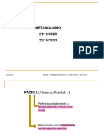 Aula T3 - Metabolismo