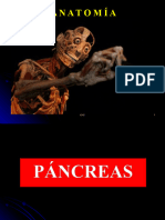 PÁNCREAS