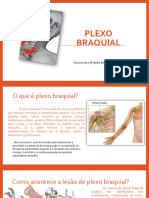 Abordagem - Fisioterapeutica - Na - Lesão - de - Plexo - Braquial GD