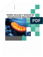 1.2 Teoría y Niveles de Organización - BC