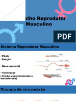 Aparelho Reprodutor