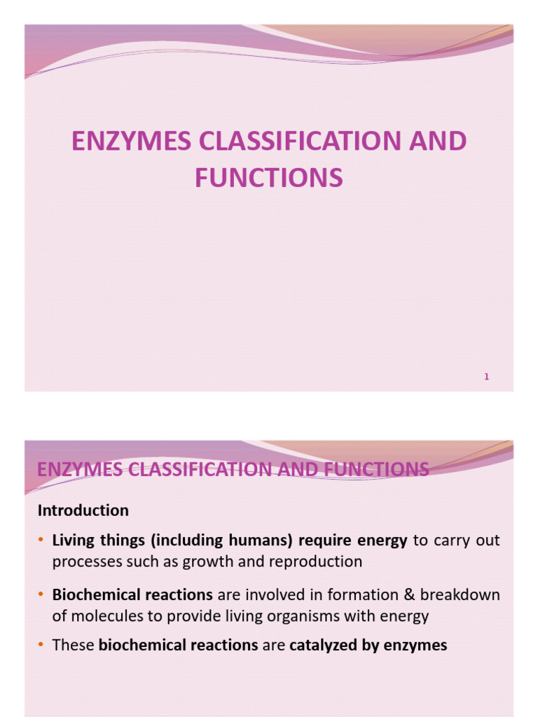 B Topic 7 Enzymes Structure, Functions, and Classification PDF