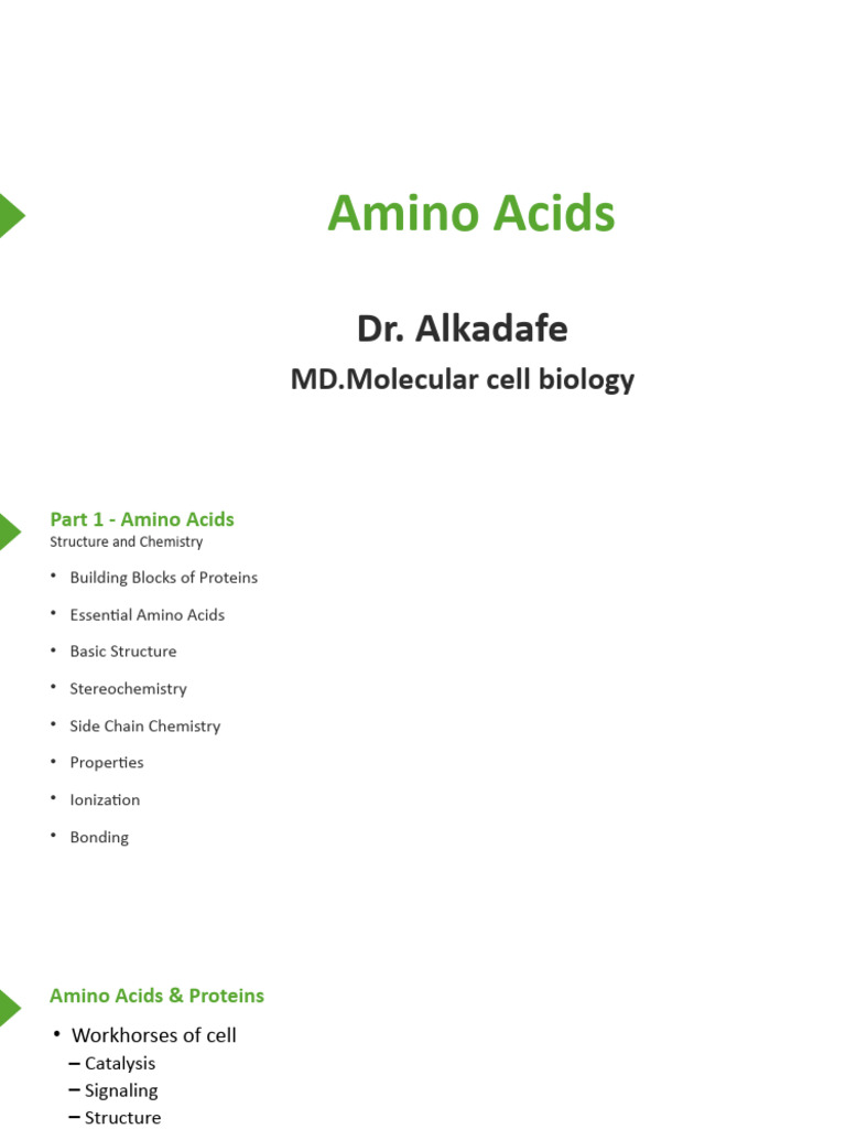 Amino Acids | PDF | Amino Acid | Chemistry