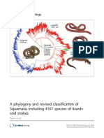 Pyron Et Al - 2013 - Phylogeny and Revised ClassificationSquamata - BMC - Evol.biology