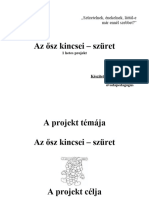 Az Ősz Kincsei Projekt - 1hetes