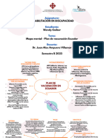 Mapa Mental Plan de Vacunaciòn