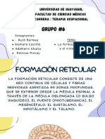 Formación Reticular