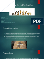 Evidencias de La Evolución