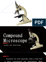 Compound Microscope - Week 1