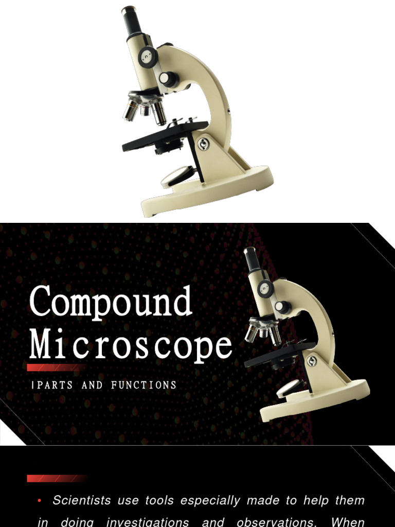 Compound Microscope - Week 1 | PDF | Microscope | Glass Engineering And ...