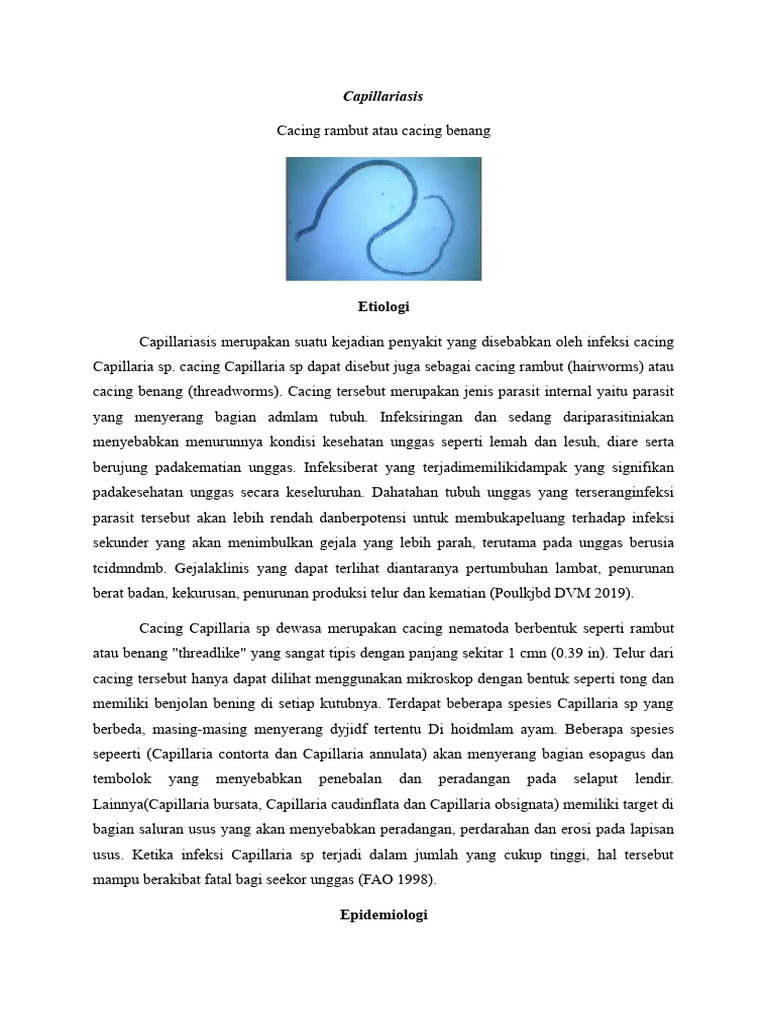 Infeksi Capillariasis pada Unggas | PDF | Kesehatan Holistik | Sains ...