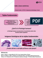 Infografia - Fisiología Humana y Tejidos Fundamentales