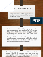 Anatomi Panggul - 2