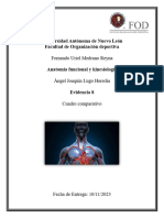 E8 FernandoMedrano