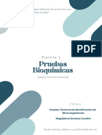 Reporte de Laboratorio - Pruebas Bioquimicas