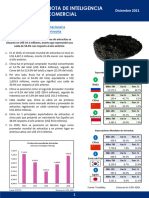 CIEN NSIM1 Diciembre 2021antracita-2-1