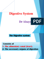 LEC. 4&5. Digestive System