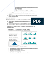 Repaso Genetica PDF