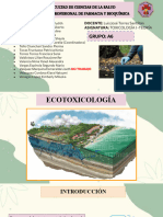 Grupo - A6 - Ecotoxicología