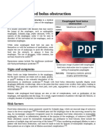 Esophageal Food Bolus Obstruction