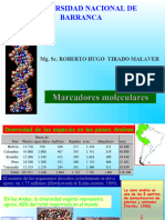 Mejoramiento - Marcadores Moleculares